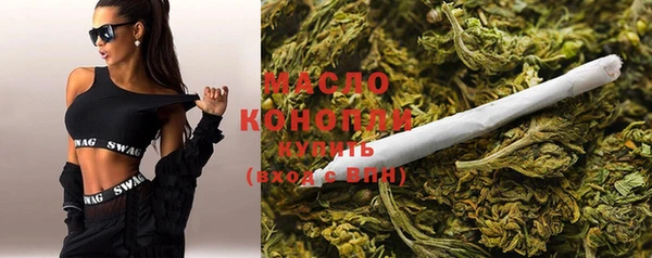 гашик Инсар