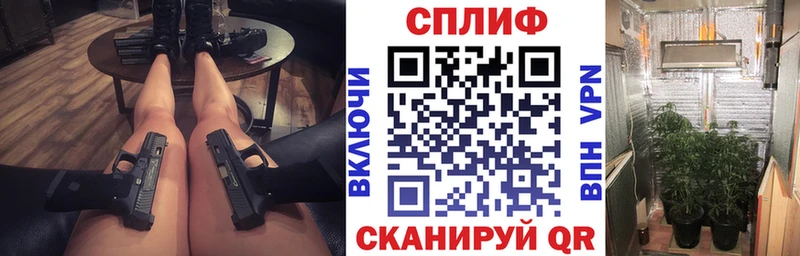 купить наркотики цена  Заречный  ОМГ ОМГ   Бошки Шишки конопля 